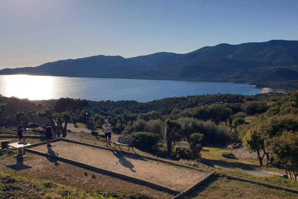 Mini Villa 72, Residence Avec Piscine. Serra-di-Ferro  Buitenkant foto